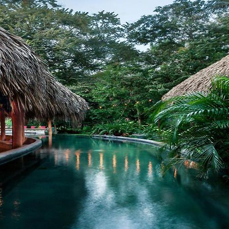 The Space Jungle Oasis ซานฮวนเดลซูร์ ภายนอก รูปภาพ